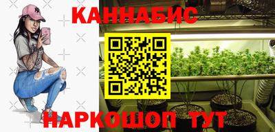 индика Балахна