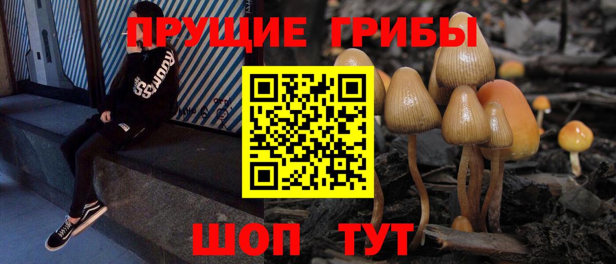 Галлюциногенные грибы прущие грибы Железноводск